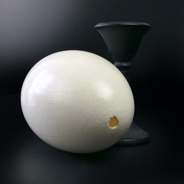 Œuf de nandou véritable sur pied en bois tourné noir (détail)