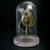 Squelette de souris des champs sur chardon sous cloche de verre (profil)