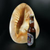 Grand casque cornu Cassis cornuta coquille d'escargot de mer (proportion)