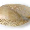 Coquillage gravé Melo aethiopicus sur pied Barong Bali Indonésie (intérieur)