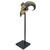 Crâne de bélier ciselé sur socle Ovis aries Artisanat balinais (3/4)