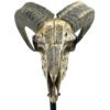Crâne de bélier ciselé sur socle Ovis aries Artisanat balinais (face)