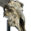 Crâne de bélier ciselé sur socle Ovis aries Artisanat balinais (détail)