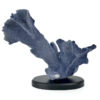Corail bleu Heliopora coerulea sur socle (face)