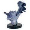 Corail bleu Heliopora coerulea sur socle (3/4)