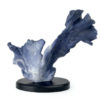 Corail bleu Heliopora coerulea sur socle (face)