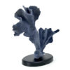 Corail bleu Heliopora coerulea sur socle (3/4)