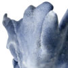 Corail bleu Heliopora coerulea sur socle (détail)