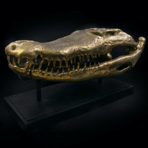 Grand crâne de crocodile en bronze recyclé doré sur socle noir (3/4)