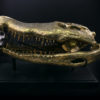 Grand crâne de crocodile en bronze recyclé doré sur socle noir (profil)