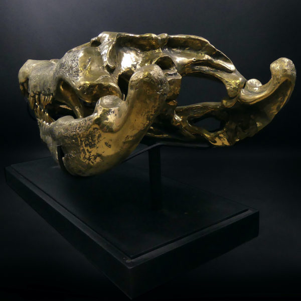 Grand crâne de crocodile en bronze recyclé doré sur socle noir (3/4 dos)