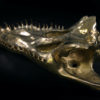 Grand crâne de crocodile en bronze recyclé doré sur socle noir (dessous 3/4)