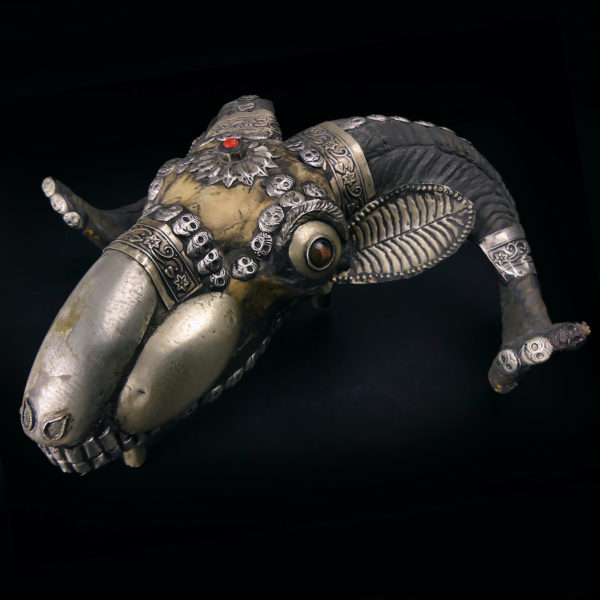 Kapala crâne de bouc tibétain ancien en os et métal argenté Tibet (3/4)