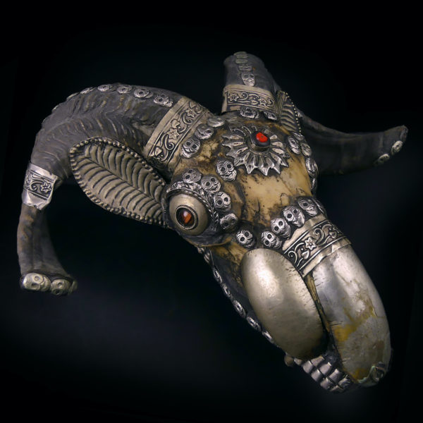 Kapala crâne de bouc tibétain ancien en os et métal argenté Tibet (3/4)