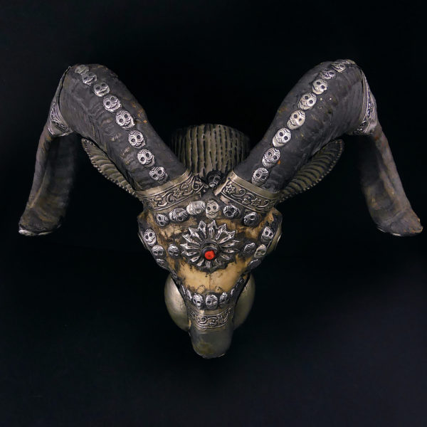 Kapala crâne de bouc tibétain ancien en os et métal argenté Tibet (dessus)