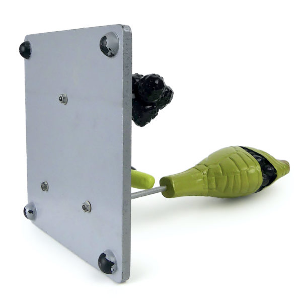 Modèle botanique fougère mâle Dryopteris filix-mas Brendel 1950 (dessous)