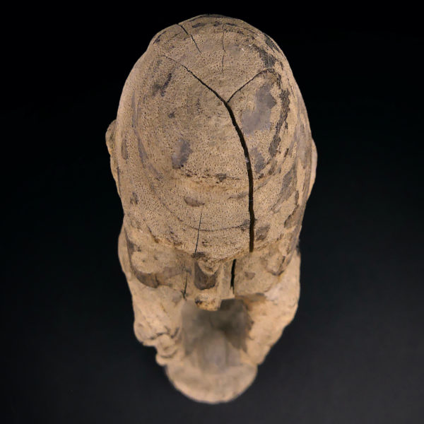 Statuette népalaise Patuli ancienne en bois érodé Népal Himalaya (dessus)