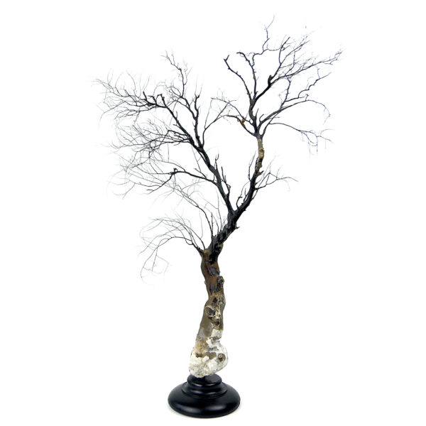 Gorgone noire à large pied sur socle en bois tourné noir (face)