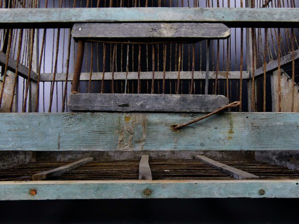 Grande cage à oiseaux ancienne fabriquée à la main en bois et fer (détail)