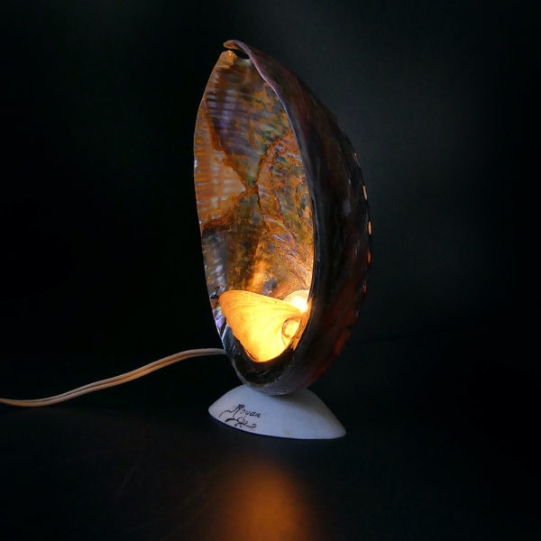 Lampe d’ambiance ormeaux et coquillage Royan Années 50 (3/4 allumée)