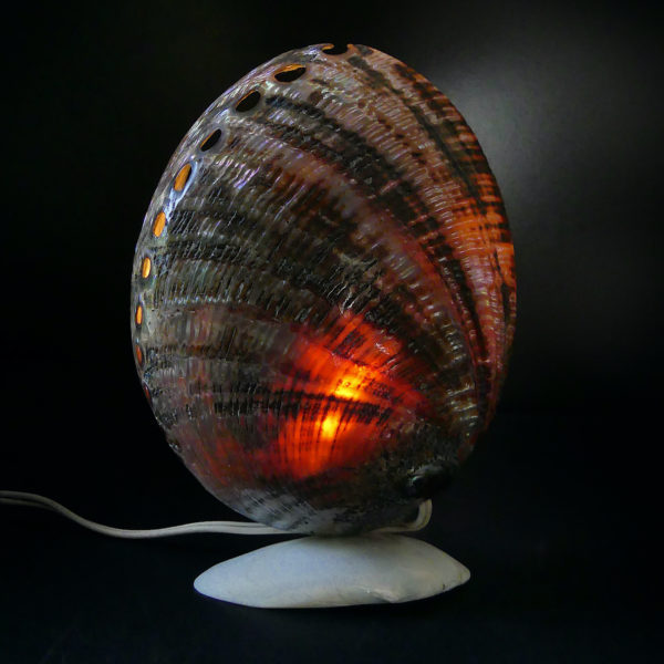 Lampe d’ambiance ormeaux et coquillage Royan Années 50 (dos allumée)