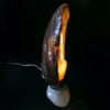 Lampe d’ambiance ormeaux et coquillage Royan Années 50 (profil allumée)