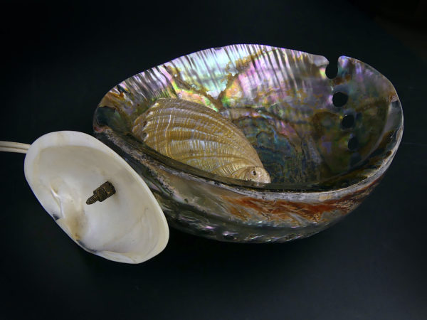 Lampe d’ambiance ormeaux et coquillage Royan Années 50 (dessous)