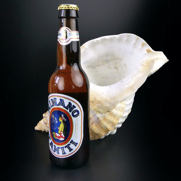 Triton géant Charonia tritonis Triton conque Trompette de Neptune (proportion)