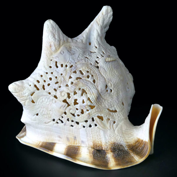 Casque cornu ciselé au poulpe poissons et fond marin Cassis cornuta (3/4)