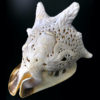 Casque cornu ciselé au poulpe poissons et fond marin Cassis cornuta (dessus 3/4)