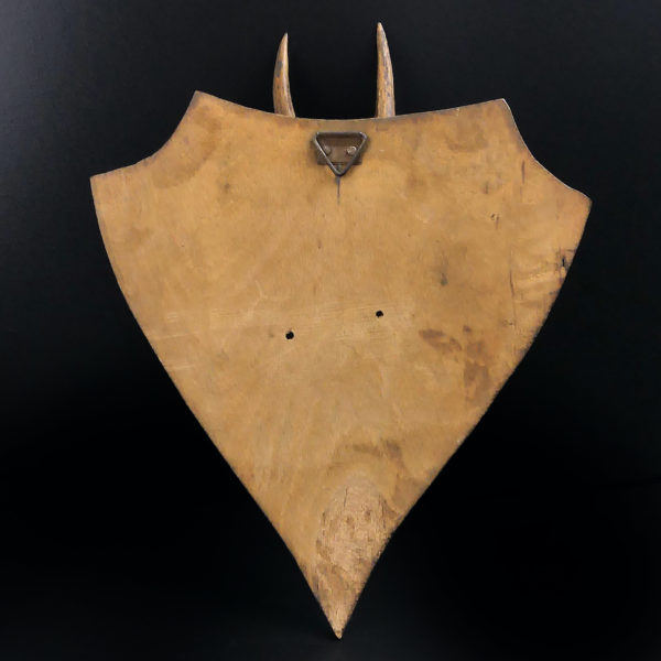 Massacre trophée de chasse de chevreuil ancien sur écusson en bois (dos)