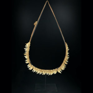 Grand collier Asmat rare constitué de 75 dents de chien sur socle 1950 (face)