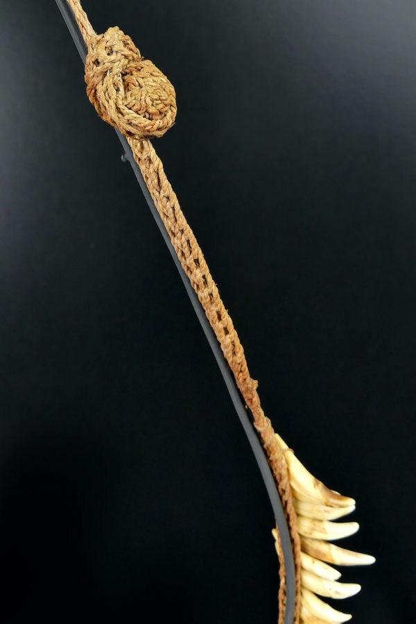 Grand collier Asmat rare constitué de 75 dents de chien sur socle 1950 (détail)