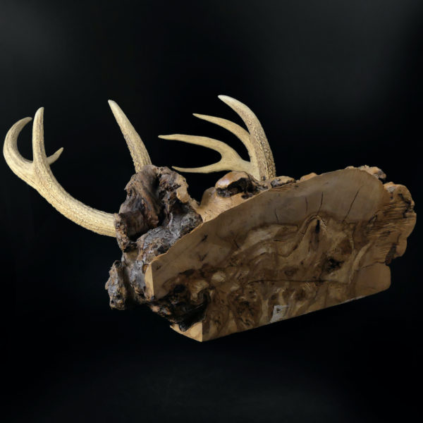 Superbe katana kake en loupe de bois et bois de cerf Daishō Shōwa (dessous 3/4)