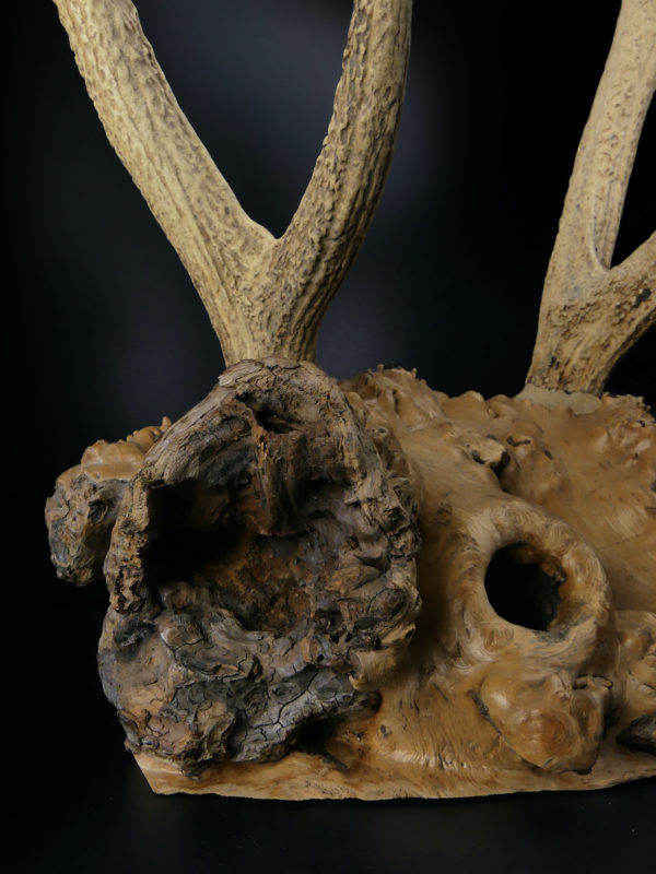 Superbe katana kake en loupe de bois et bois de cerf Daishō Shōwa (détail)