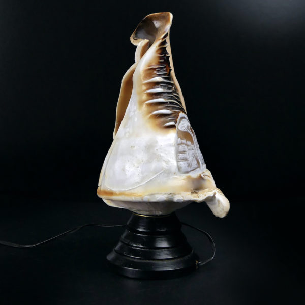 Lampe d’ambiance coquillage ciselé sur pied Début XXe Camée Napoli (profil)