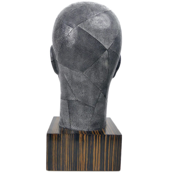 Tête en galuchat gris sur socle cubique en mélaniné imitation bois (dos)