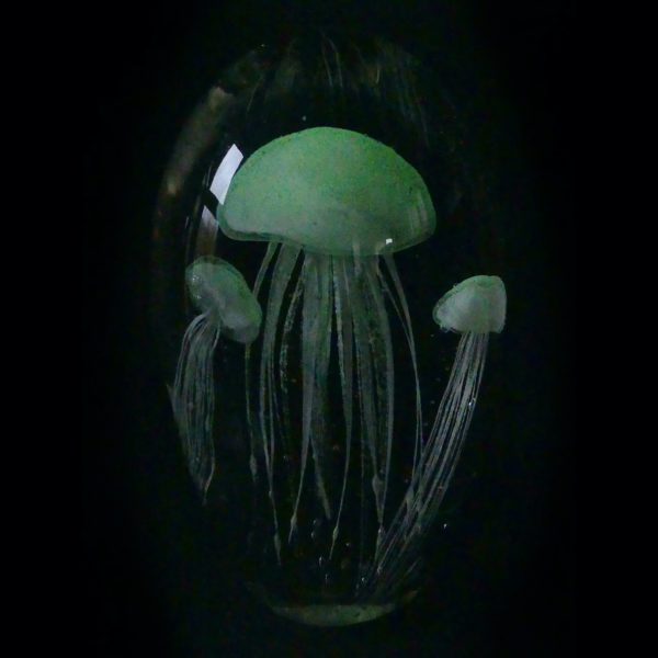 Grande sulfure 3 méduses blanches phosphorescentes en verre (obscurité)