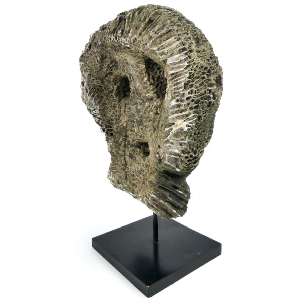 Grand masque d’ancêtre Atoni en corail fossilisé sur pied (3/4 dos)