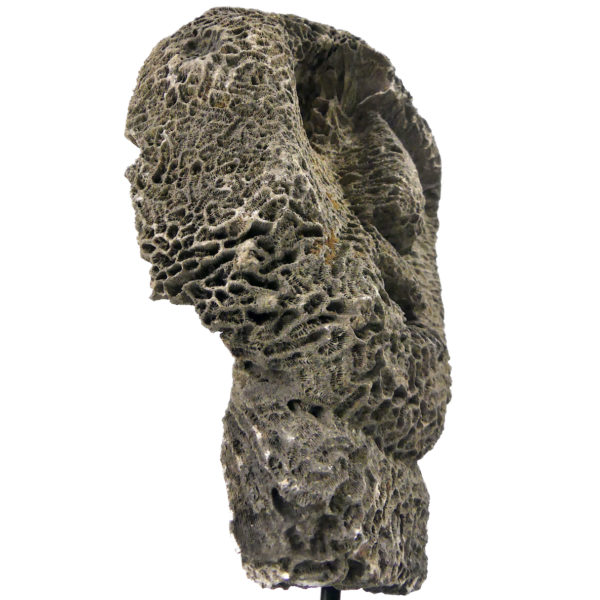 Grand masque d’ancêtre Atoni en corail fossilisé sur pied (3/4)