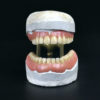Dentier articulé de la la 2e partie du XIXe en porcelaine plâtre et laiton (face)