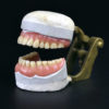 Dentier articulé de la la 2e partie du XIXe en porcelaine plâtre et laiton (3/4)