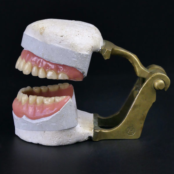 Dentier articulé de la la 2e partie du XIXe en porcelaine plâtre et laiton (profil)