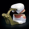 Dentier articulé de la la 2e partie du XIXe en porcelaine plâtre et laiton (3/4 dos)
