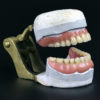 Dentier articulé de la la 2e partie du XIXe en porcelaine plâtre et laiton (3/4)