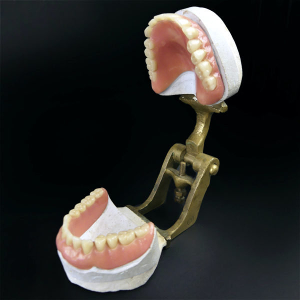 Dentier articulé de la la 2e partie du XIXe en porcelaine plâtre et laiton (ouvert 3/4)