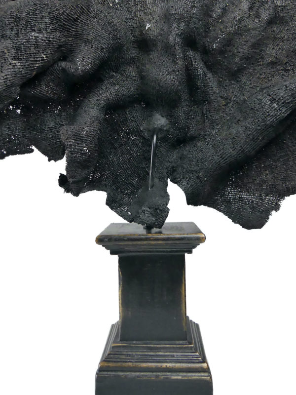 Très grande éponge éventail violette soclée Echinodictyum flabelliforme (détail)