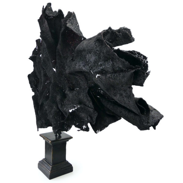 Très grande éponge éventail violette soclée Echinodictyum flabelliforme (3/4)