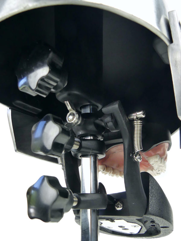 Tête fantôme dentaire vintage des années 50/60 (détail)