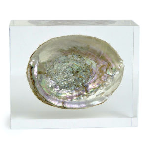 Inclusion coquille d’ormeau presse-papiers de bureau des années 70 (face)